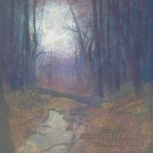 Bendigo Fletcher - Terminally Wild / Bendigo Fletcher EP - Mint- LP Record 2019 Soul Step VNYL Exclusive Random Color Edition - Folk / Folk Rock - Shuga Records