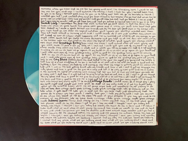 The Walters - Songs For Dads / Young Men - New LP Record 2019 Self-Released White & Blue Pinwheel Vinyl Bundle, 7", Sticker & Poster - Indie Rock / Pop Rock - Shuga Records