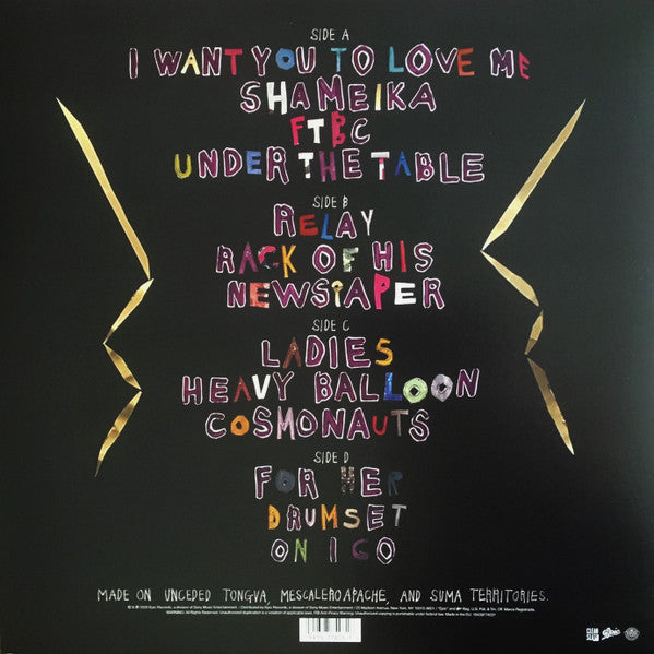 Fiona Apple ‎– Fetch The Bolt Cutters - VG+ 2 LP Record 2020 Epic 180 gram Vinyl, Booklet & Download - Alternative Rock / Indie Pop - Shuga Records