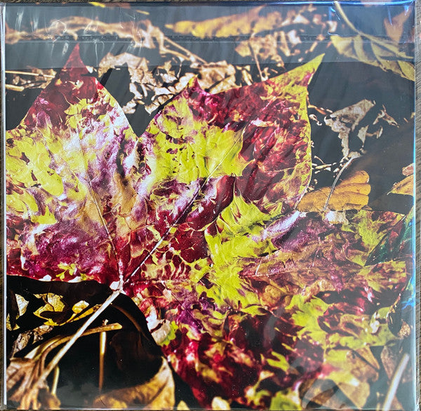 Chon - Grow - Mint- LP Record 2015 Sumerian Red Inside Clear w/ Blue & Neon Blue Splatter Vinyl & Booklet - Rock / Math Rock / Experimental - Shuga Records