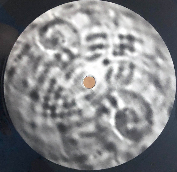 Joshua Abrams - Natural Information (2014) - Mint- LP Record 2020 Aguirre Belgium Black Vinyl & Insert - Avant-garde Jazz - Shuga Records