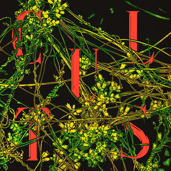 Cults - Host - New LP Record 2020 Sinderlyn Black Vinyl - Indie Rock - Shuga Records