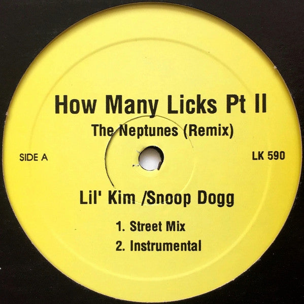 Lil' Kim / Snoop Dogg / Jay-Z / Notorious B.I.G. - How Many