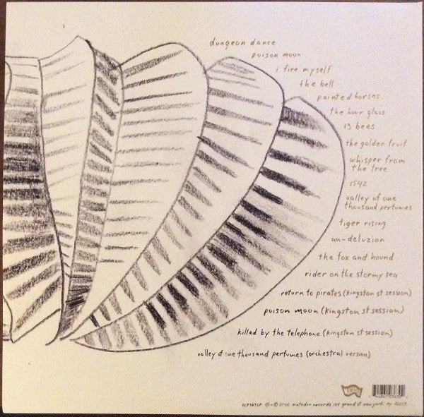 Mary Timony - Mountains (2000) - Mint- 2 LP Record 2021 Matador USA 20th Anniversary Vinyl - Indie Rock - Shuga Records