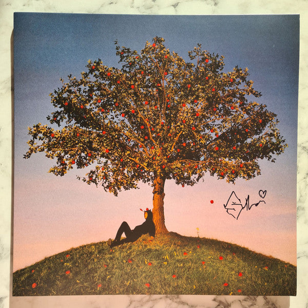 Signed Autographed - slowthai - TYRON - Mint- LP Record 2021 Method France Vinyl - Hip Hop / Grime - Shuga Records