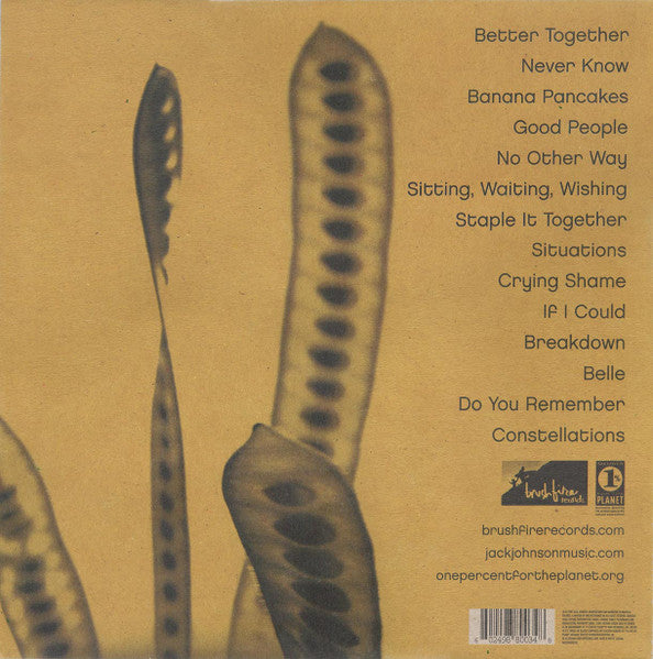 Jack Johnson - In Between Dreams - Mint- LP Record 2005 Brushfire 180 gram Vinyl - Pop Rock / Soft Rock / Acoustic - Shuga Records