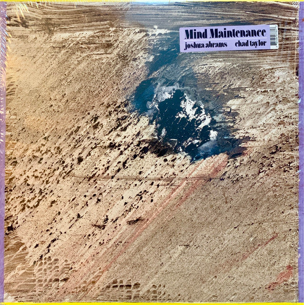 Mind Maintenance (Joshua Abrams & Chad Taylor) -  Mind Maintenance - New LP Record 2021 Drag City Vinyl - Chicago Jazz / Avant-Garde / African - Shuga Records