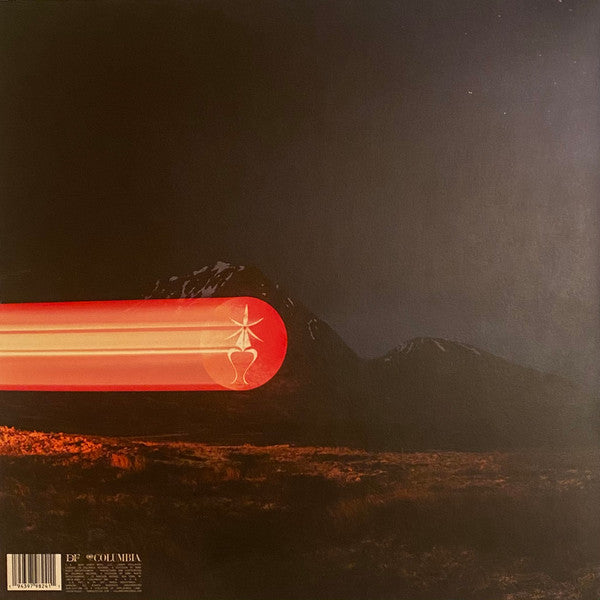 Signed Autographed - Dominic Fike - What Could Possibly Go Wrong - Mint- LP Record 2020 Columbia Web-Store Exclusive Vinyl & Extra Signed Cover - Alternative Rock / Indie Pop - Shuga Records