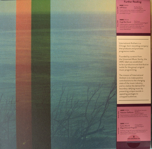 Carlos Niño & Friends - More Energy Fields, Current - New LP Record 2021 International Anthem Black Vinyl & OBI - Chicago Jazz / Ambient - Shuga Records