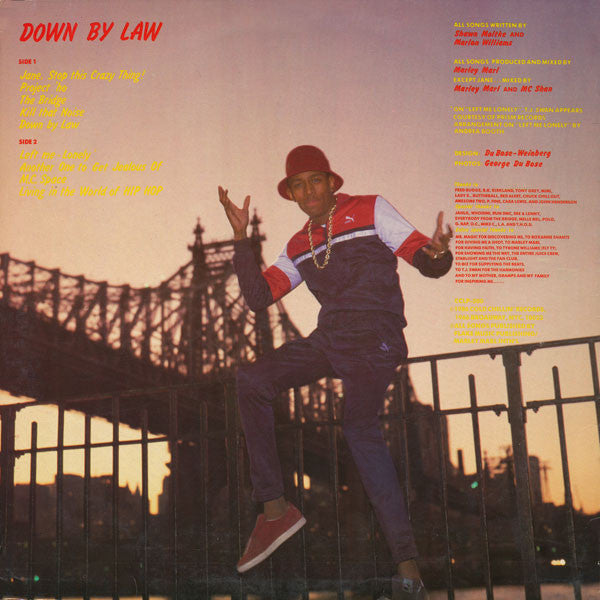 M.C. Shan - Down By Law - VG+ (VG Cover) LP Record 1987 Cold Chillin USA Original Vinyl & Black Labels - Hip Hop / Boom Bap