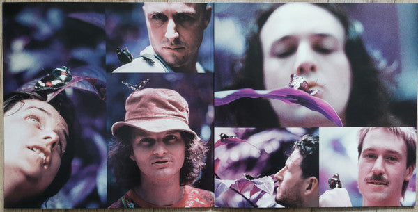 King Gizzard And The Lizard Wizard - Butterfly 3000 (Koning Spiermaag En de Hagedis Tovenaar – Vlinder 3000) - New LP Record 2021 KGLW Dutch Version Chrysalis Caterpillar Red Vinyl - Psychedelic Rock - Shuga Records