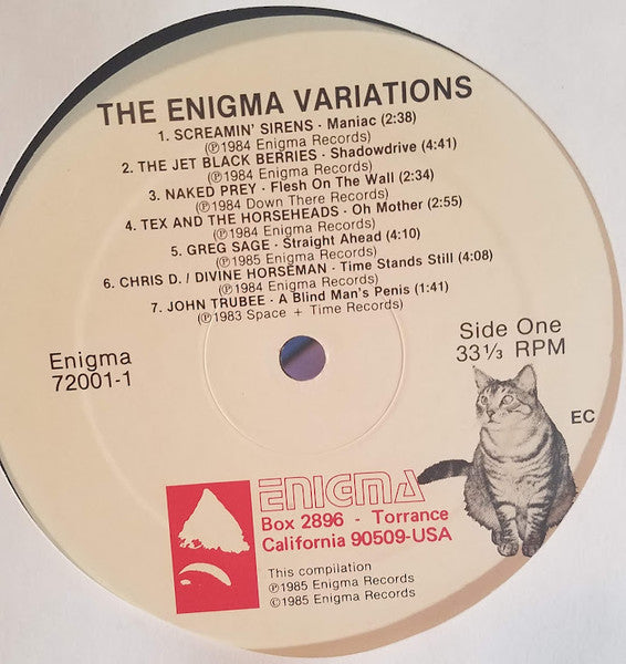 Various – The Enigma Variations - VG+ 2 LP Record 1985 Enigma USA Vinyl - Rock / Synth-pop / Punk - Shuga Records