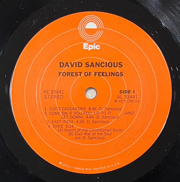 David Sancious - Forest Of Feelings VG+ LP Record 1975 Epic USA Original Vinyl - Jazz Fusion - Shuga Records