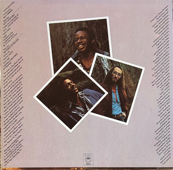 David Sancious - Forest Of Feelings VG+ LP Record 1975 Epic USA Original Vinyl - Jazz Fusion - Shuga Records