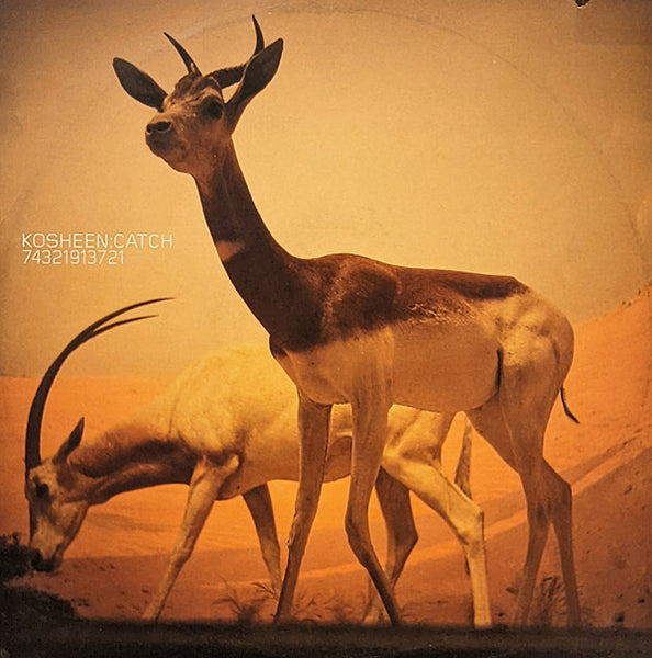 Kosheen - Catch - VG+ 12" Single Record 2001 Moksha Arista BMG UK Vinyl - Trance / Progressive Trance - Shuga Records