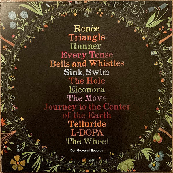 Laura Stevenson - Wheel (2013) - Mint- LP Record 2021 Don Giovanni Vinyl, Insert & Download - Indie Rock / Folk Rock - Shuga Records