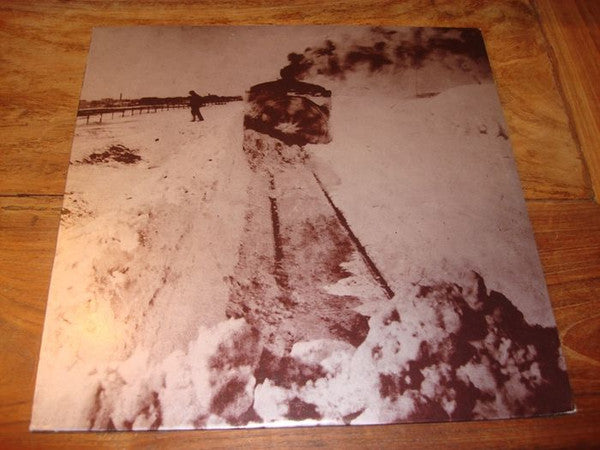 Simon Joyner - Out Into The Snow - VG+ LP Record 2009 Team Love USA Vinyl & Insert - Lo-Fi / Folk Rock / Indie Rock - Shuga Records