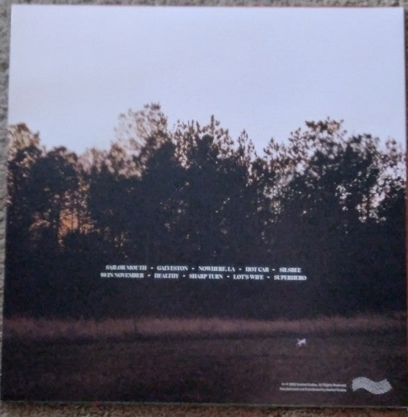 Why Bonnie - 90 In November - Mint- LP Record 2022 Keeled Scales Peacock Green Vinyl & Download - Indie Rock / Dream Pop - Shuga Records