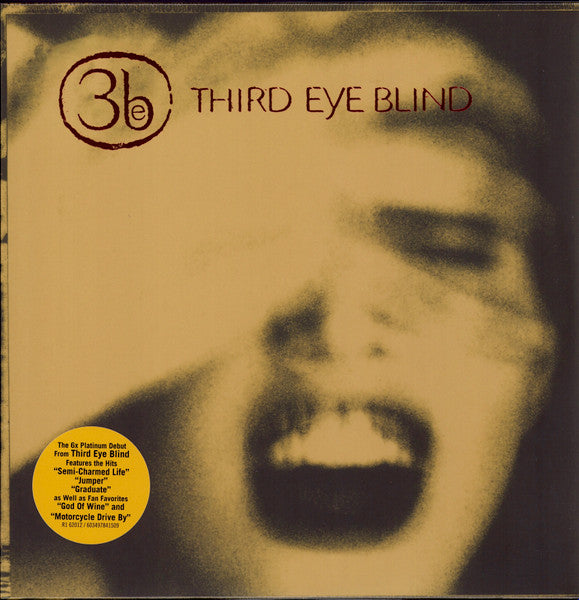 Third Eye Blind - Third Eye Blind (1997) - New 2 LP Record 2022 Elektra Rhino Black Vinyl - Pop Rock / Alternative Rock - Shuga Records