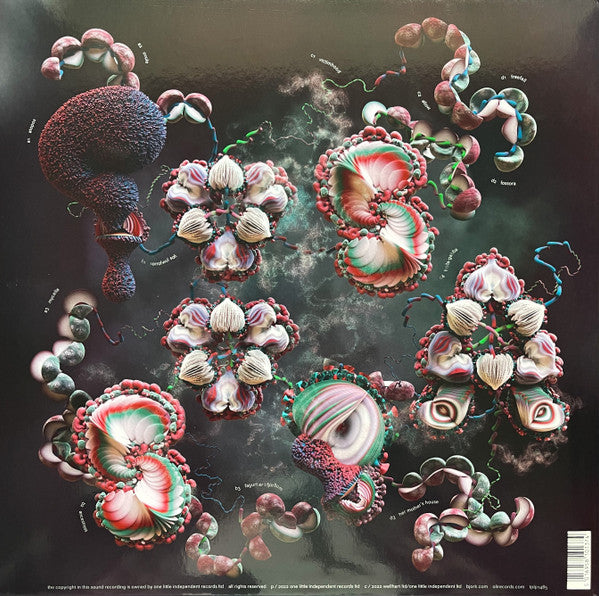 Björk – Fossora - New 2 LP Record 2022 One Little Independent Indie Exclusive Dark Green Vinyl - Electronic / Pop / Abstract / Experimental - Shuga Records