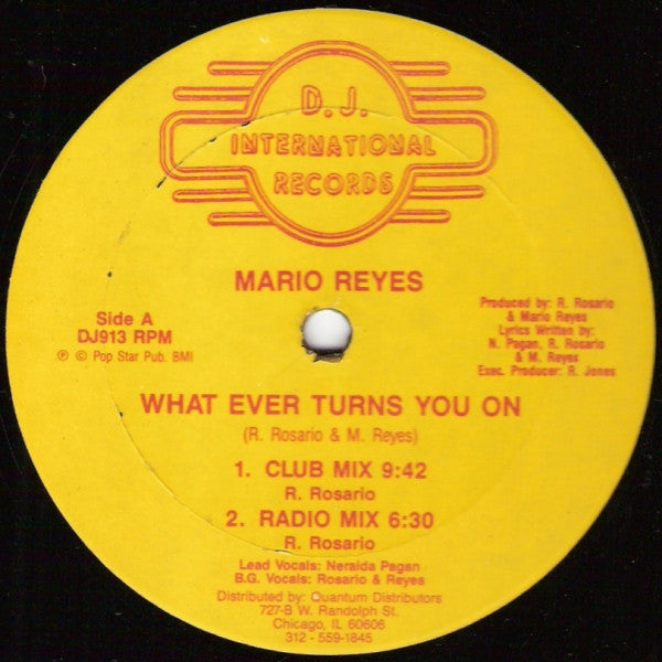 Mario Reyes – What Ever Turns You On - VG+ 12" Single Record 1986 D.J. International USA Vinyl - Chicago House