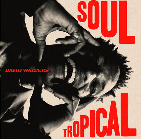 David Walters – Soul Tropical - New 2 LP Record 2023 Heavenly Sweetness France Vinyl - Disco / Soul / Afro-Caribbean