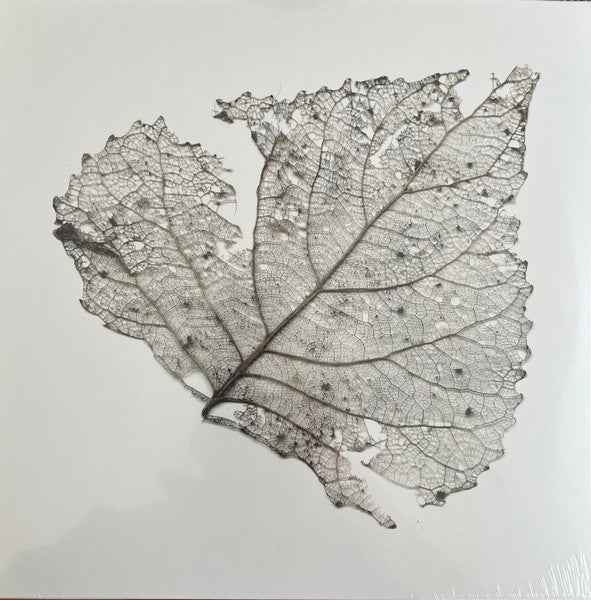 The Telescopes - Hungry Audio Tapes (2006) - New LP Record Store Day 2023 Glass Modern RSD Clear Vinyl - Shoegaze / Dream Pop / Rock - Shuga Records