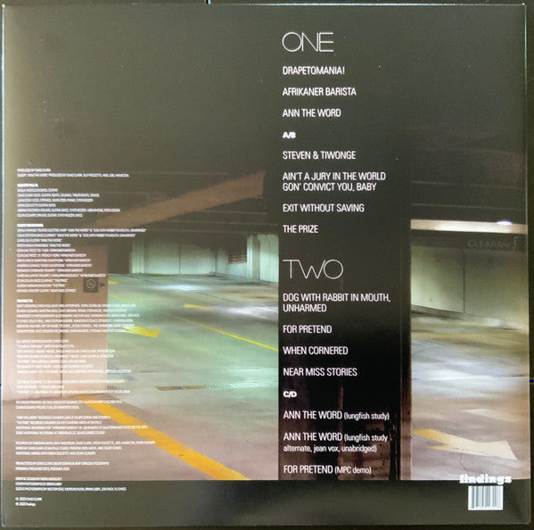 Beauty Pill - Describes Things As They Are (2015) - New 2 LP Record Store Day 2023 Findings RSD Coke Bottle Clear Vinyl - Indie Rock / Jazz-Rock / Avantgarde / Experimental - Shuga Records
