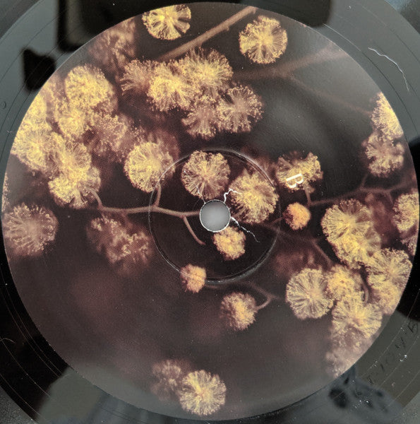 Phantogram - Eyelid Movies (2010) - Mint- LP Record 2011 Barsuk Ghostly International USA Vinyl & Insert - Electronic / Synth-Pop - Shuga Records
