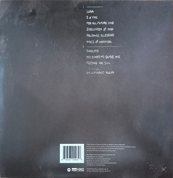 will haven - VII - Mint- LP Record 2023 Minus Head USA Bkack Vinyl - Hardcore / Noisecore / Sludge Metal - Shuga Records