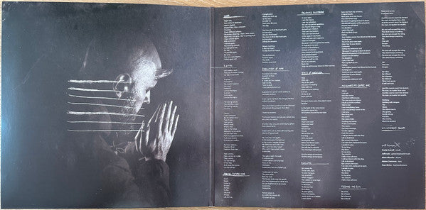 will haven - VII - Mint- LP Record 2023 Minus Head USA Bkack Vinyl - Hardcore / Noisecore / Sludge Metal - Shuga Records
