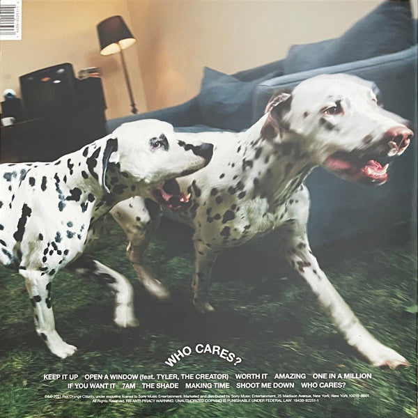 Rex Orange County - Who Cares? - New LP Record 2022 Sony Music Vinyl & Poster - Pop / Indie Pop - Shuga Records