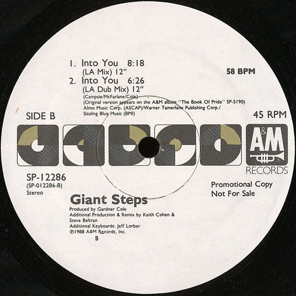 Giant Steps - Into You - Mint- 12" Single Record 1988 A&M USA Promo Vinyl - House / Synth-pop - Shuga Records