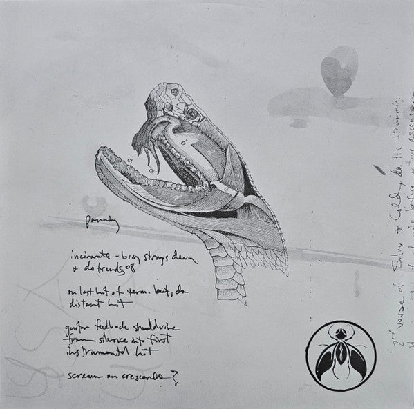 AFI - Sing The Sorrow (2003) - New 2 LP 5 x 7" Single Record Box Set 2023 Geffen Records Vinyl - Post-Hardcore / Punk / Emo / Alternative - Shuga Records