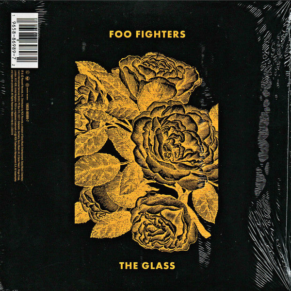 H.E.R.  / Foo Fighters - The Glass - New 7" Single Record 2023 Roswell Sony Vinyl - Rock / Pop / R&B - Shuga Records