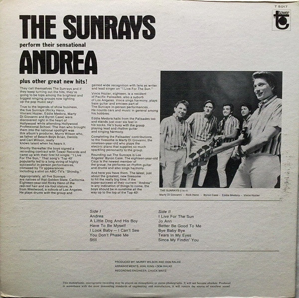 The Sunrays - Andrea - VG+ (VG cover) LP Record 1966 Tower USA Vinyl - Surf Rock / Pop Rock