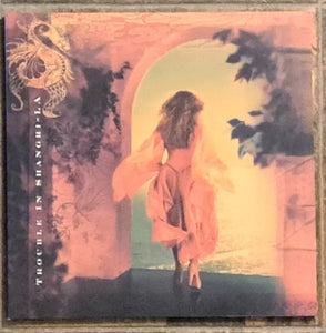 Stevie Nicks – Trouble In Shangri-La (2001) - New LP Record 2024 Reprise Translucent Sea Blue Vinyl - Pop Rock