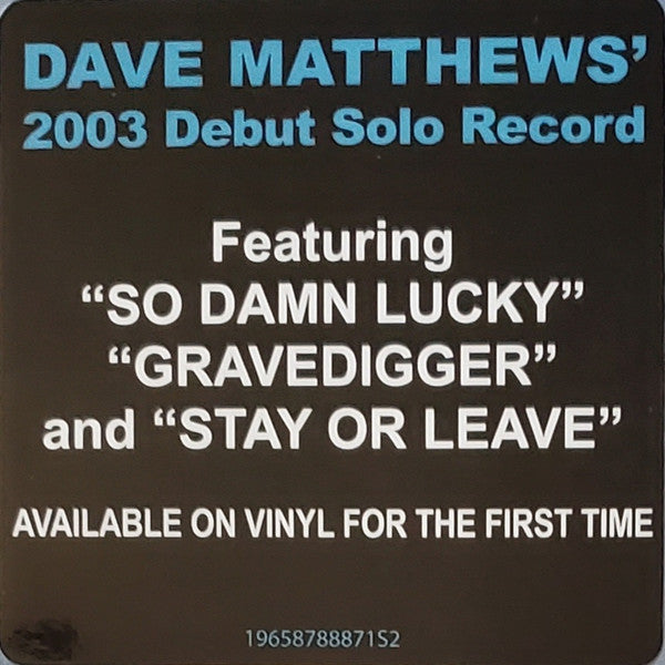 Dave Matthews - Some Devil - New 2 LP Record 2024 RCA USA Vinyl - Pop Rock / Soft Rock / Fusion - Shuga Records