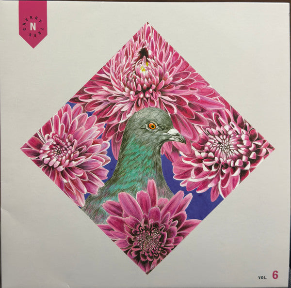 The National - Cherry Tree Vol. 6 - Mint- LP Record 2024 Cherry Tree Eco-Mix Vinyl - Indie Rock / Pop Rock - Shuga Records