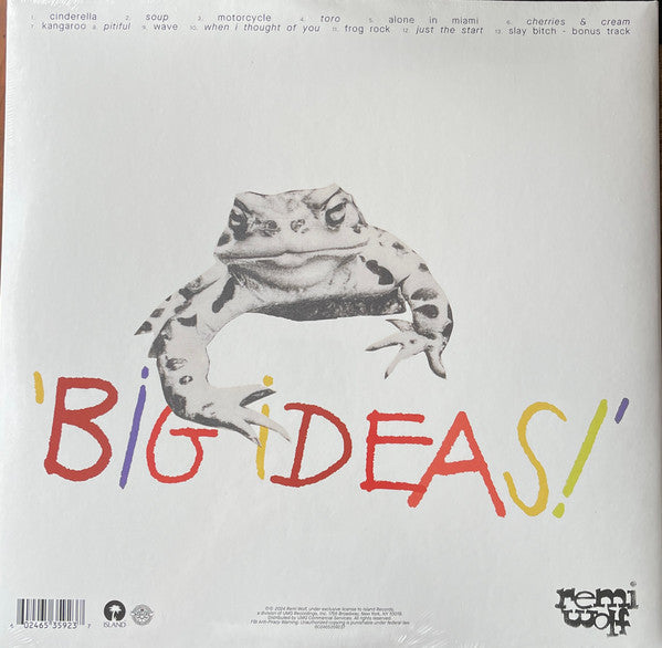 Remi Wolf - Big Ideas - Mint- LP Record 2024 Island USA Vinyl - Pop / Indie Pop