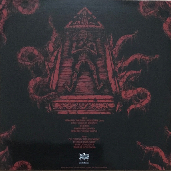 Denial - Catacombs Of The Grotesque - New LP Record 2009 Blood Harvest Sweden Vinyl & Insert - Death Metal - Shuga Records