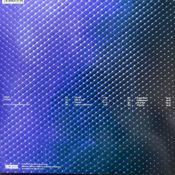 Loidis - One Day - New 2 LP Record 2024 Incienso Vinyl - Dub Techno / Minimal / Tech House - Shuga Records