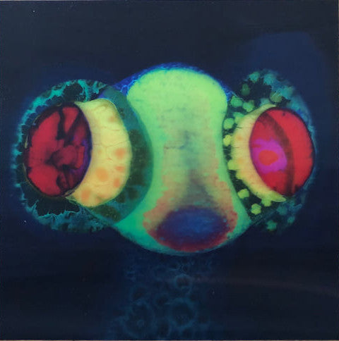 Osees - SORCS 80 - Mint- LP Record 2024 Castle Face Kelly Green & Magenta Blob Vinyl & Download - Psychedelic Rock - Shuga Records