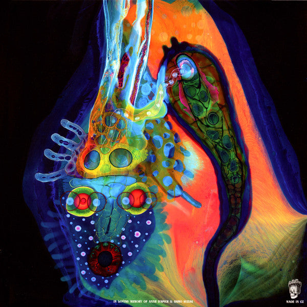 Osees - SORCS 80 - Mint- LP Record 2024 Castle Face Kelly Green & Magenta Blob Vinyl & Download - Psychedelic Rock - Shuga Records