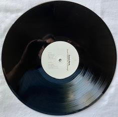 Tamar Berk - Good Times For A Change - New LP Record Self-released Vinyl - Power Pop - Shuga Records