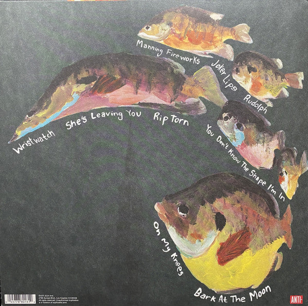 MJ Lenderman - Manning Fireworks - Mint- LP Record 2024 Anti- USA Vinyl - Indie Rock / Country Rock / Slowcore - Shuga Records