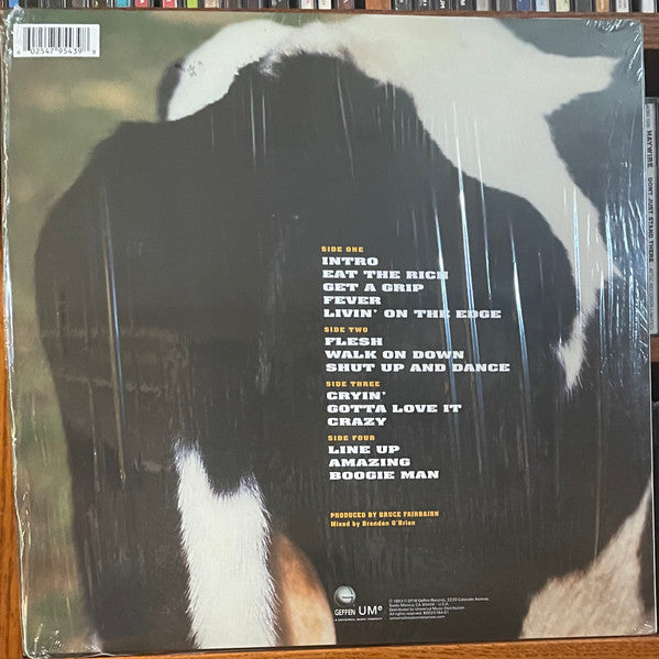 Aerosmith - Get A Grip (1993) - Mint- 2 LP Record 2016 Geffen 180 gram Vinyl - Pop Rock / Hard Rock - Shuga Records