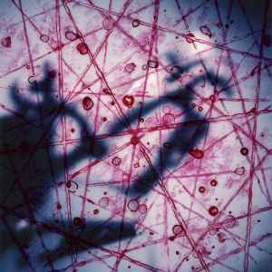 Guido Gamboa - All Is Not Coherent in Nature: Polystudies for Algorithm & Electric Guitar - New LP Record 2024 Pentiments Vinyl & Booklet - Experimental Electronic - Shuga Records