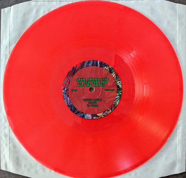 その他 2LP Animal Collective Sung Tongs Live At The Theatre At Ace Hotel WIGLP545 Domino /00660 Sung Tongs Live at the Theatre at Ace Hotel | Animal Collective