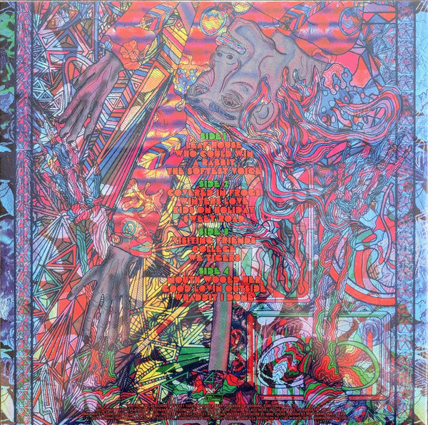 その他 2LP Animal Collective Sung Tongs Live At The Theatre At Ace Hotel WIGLP545 Domino /00660 Animal Collective - Sung Tongs Live at the Theatre at Ace Hotel